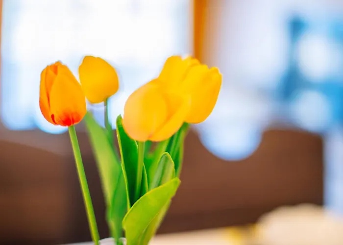 Apartment Spalato * Split