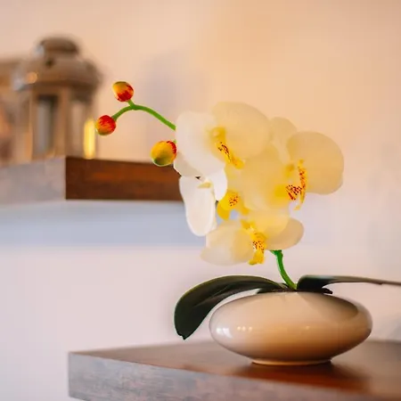 Apartment Spalato Apartament *