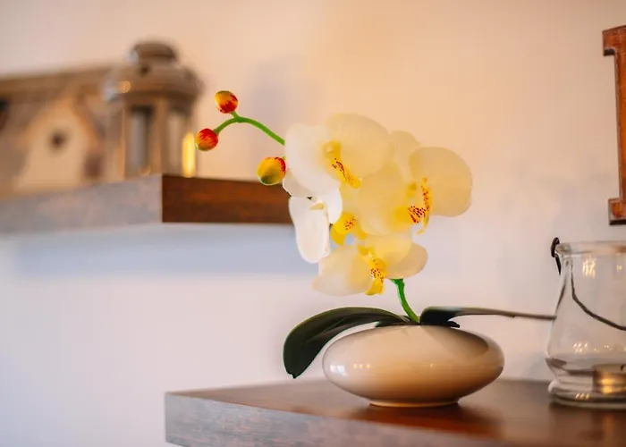 Apartment Spalato Apartament *